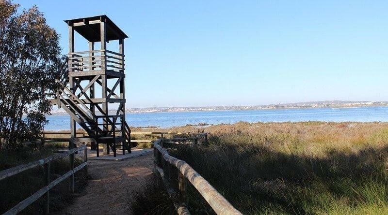 Apartamento Vistas La Mata Playa Esterno foto